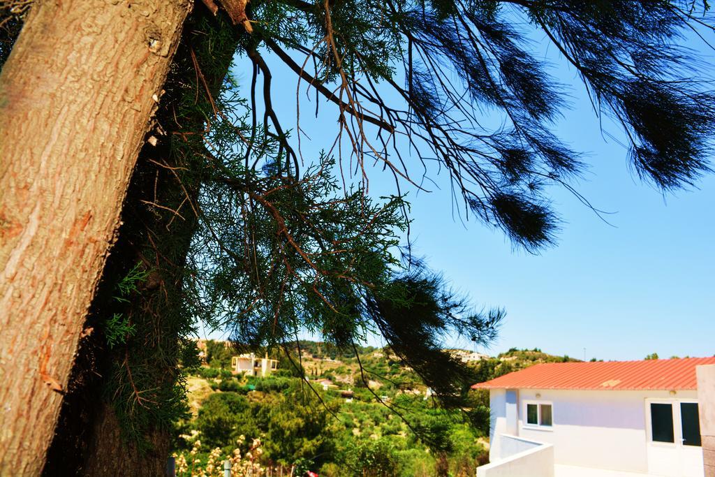 Ferienhaus Ambrosia House *